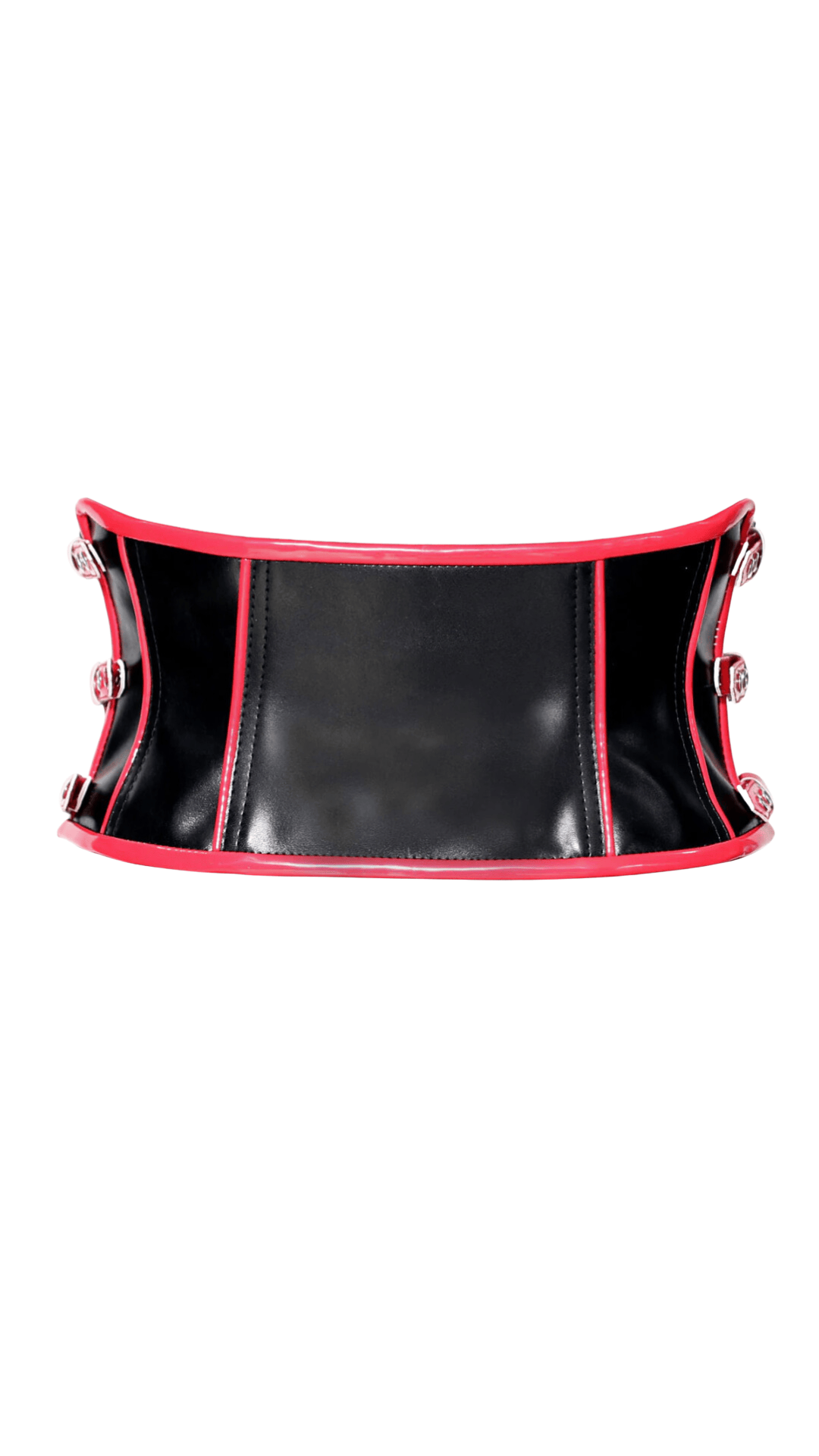 Naughty Kitten Clothing Ms Kitten Red Fetish Waist Cincher Corset Rear View