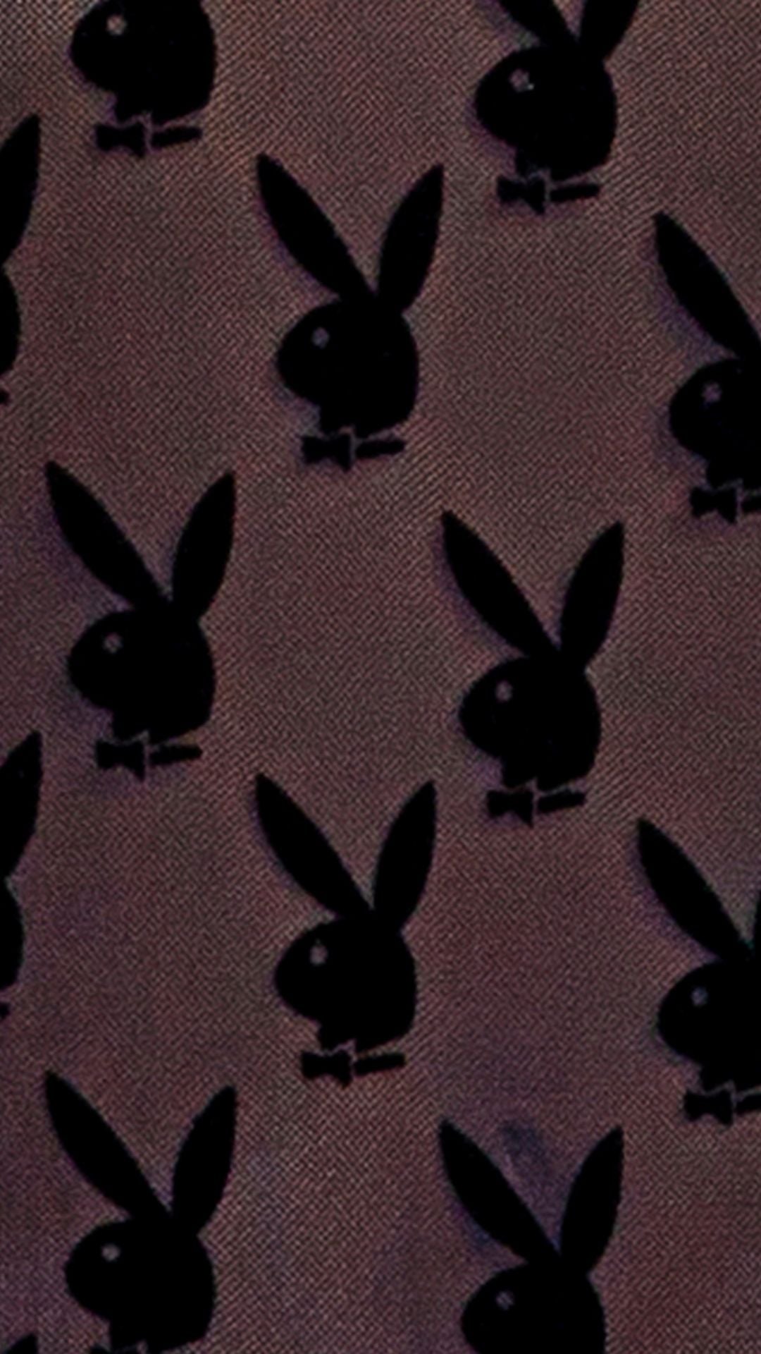 Naughty Kitten Clothing Playboy Bunny Noir Slip Close Up View Playboy Lingerie