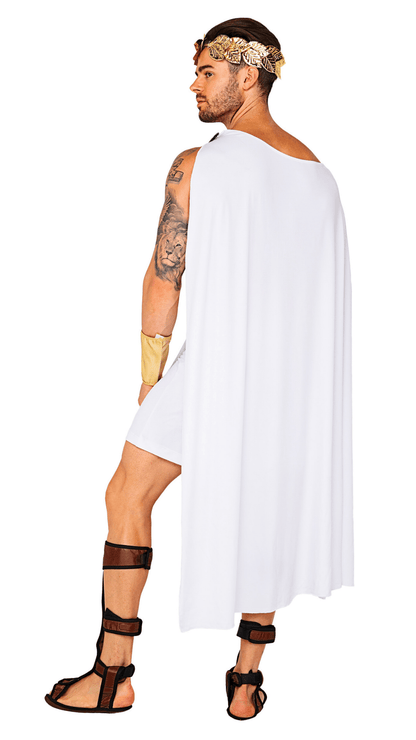 Naughty Kitten Clothing Olympian God Costume Rear View Men's Halloween Costume