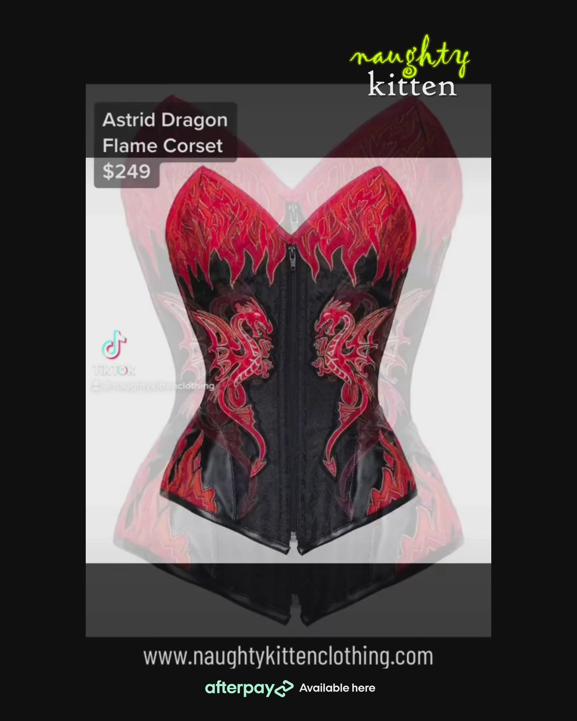 Dragon Embroidered Zip Up Corset